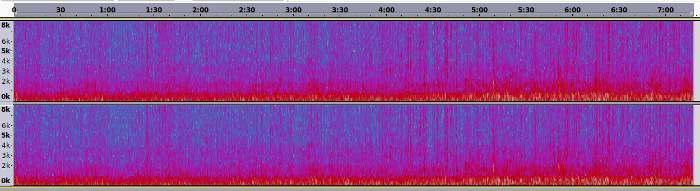 Spectrogram of 02.08 field recording.